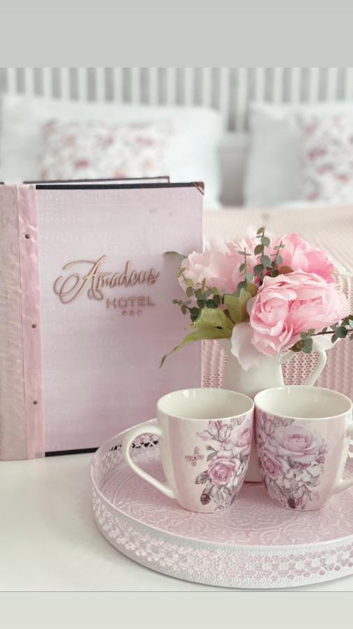 Hotel Amadeus Чешка Будьовица Екстериор снимка