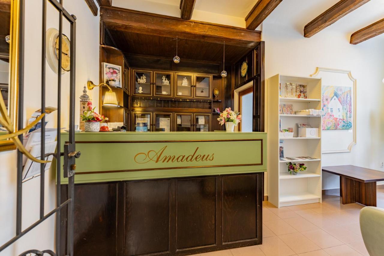 Hotel Amadeus Чешка Будьовица Екстериор снимка